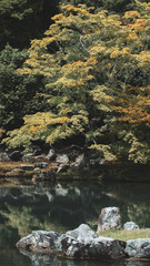 Naklejka na ściany i meble Pond with trees and rocks in a zen garden in Japan