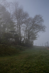 Hochsitz im Nebel am Waldrand