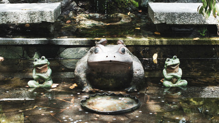 Frog deities in a temple in Japan