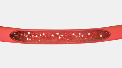 3D illustration of a bloodstream with red cell white cell and platelet