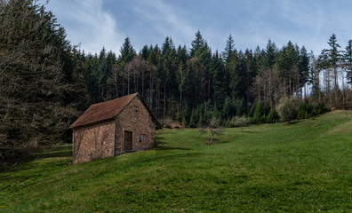 Fototapeta na wymiar Alte Steinhütte am Waldrand