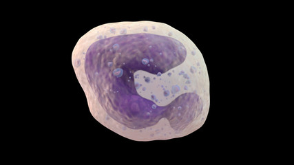 3D illustration of basophil white blood cell
