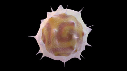 3D illustration of lymphocytes white blood cell
