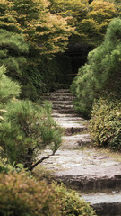 A stone stair in a garden in Japan, leading to the unknown