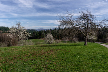 Obraz premium Panorama Landschaft im Schwarzwald