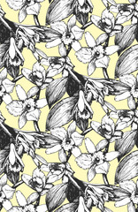 Seamless Pattern. Hand-drawn illustration of Vanilla. Vector