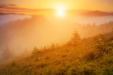 Misty dawn in the mountains in summer