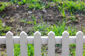 beautiful green garden with white fence and blurred background