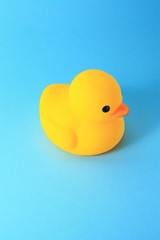 Yellow rubber duck toy against blue background.