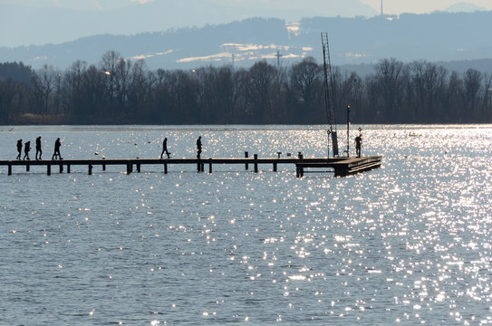 People ar wood web on lake