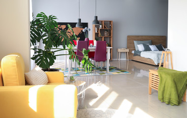 Stylish interior of modern studio apartment