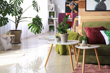 Soft couch with green plants in interior of living room