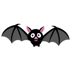 Cute small bat flying when midnight