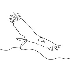 Obraz premium Flying vulture continuous line vector illustration