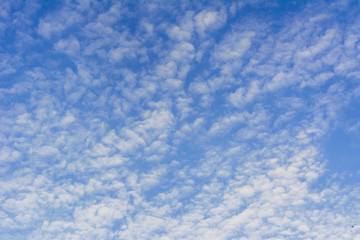 Fototapeta premium blue sky with many small Cumulus clouds predawn sky