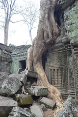 ruins of ancient temple in angkor cambodia