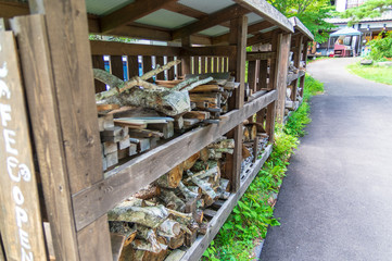 軽井沢　夏の散歩道