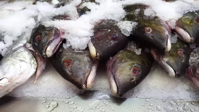 fish in the fishery for final sale