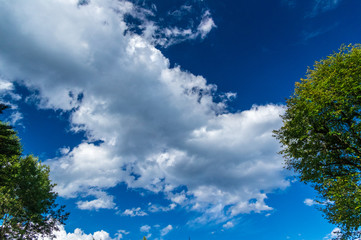 軽井沢　夏の散歩道