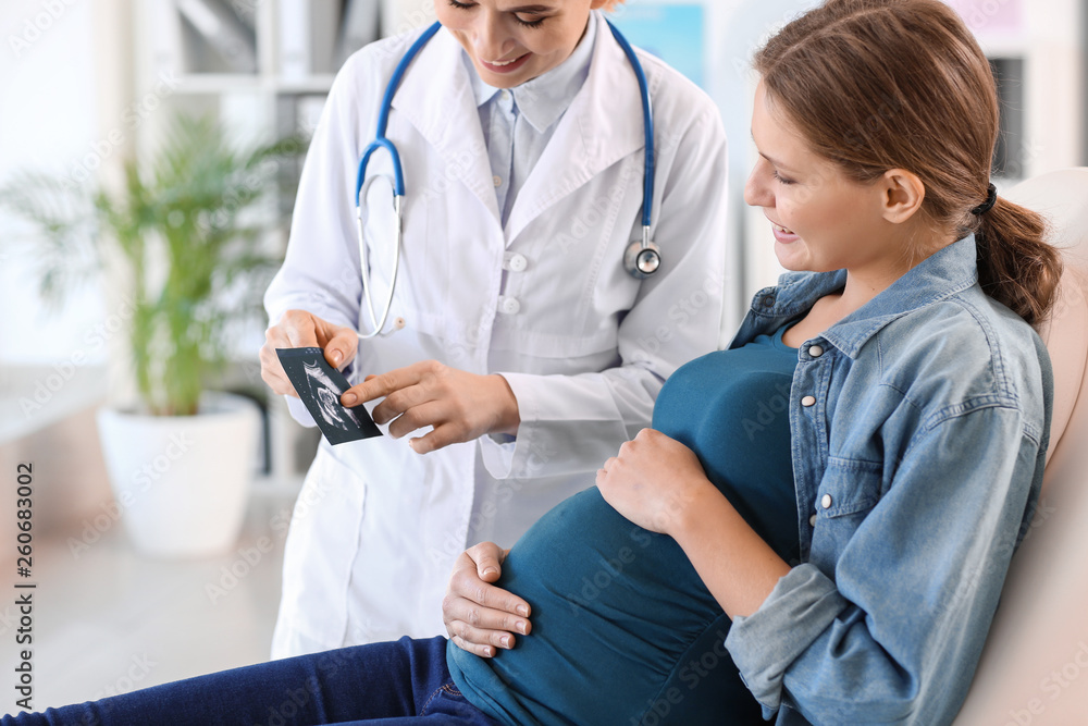 Poster young pregnant woman visiting her gynecologist in clinic