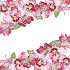 Fototapeta na wymiar Beautiful floral background of Alstroemeria and Orchid. Isolated 