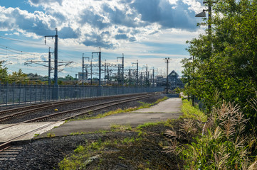 軽井沢　夏の散歩道