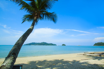 Serenity beach panorama with coconut tree.