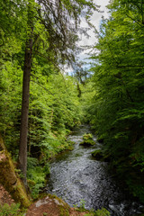 Fototapeta na wymiar Forest river Kamenice, Bohemian Switzerland National Park, Czech Republic