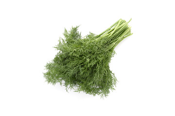 Dill bunch isolated on white background. Fennel bunch