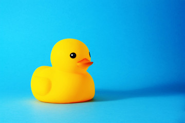 Yellow rubber duck against blue background.