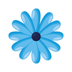 Obraz premium delicate flower decoration