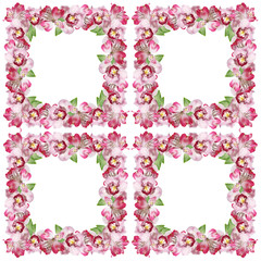 Beautiful floral pattern of Alstroemeria and Orchids. Isolated 