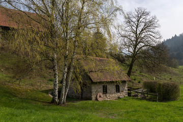 Obraz premium Alte Wassermühle im Schwarzwald