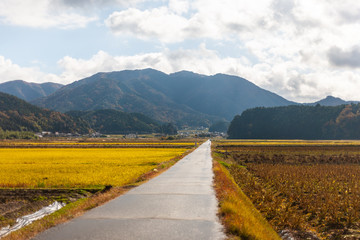 秋の篠山、紅葉巡り　#11