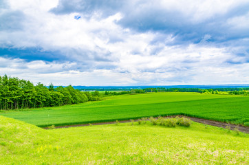 富岡見晴台駐車公園より十勝平野を望む