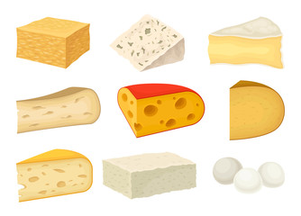 Varieties cheese collection on a white background.
