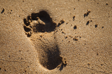 Footprint in the sand