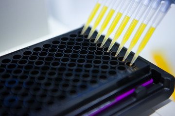 Test tubes in the laboratory with a yellow liquid