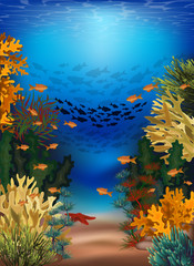 Underwater banner with algae and tropical fish, vector illustration