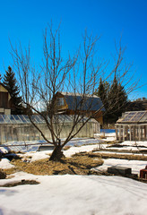  The spring sun is shining, in the village all the snow has not melted near the trees and houses. 