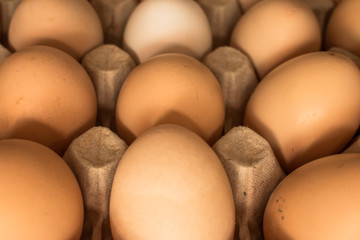 chicken eggs lie in a row