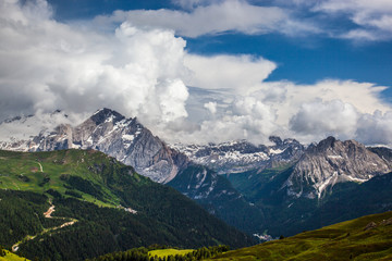 landscape forest in trentino with dolomiti mountain