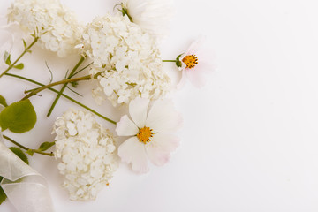 Festive flower composition on the white wooden background. Overhead view