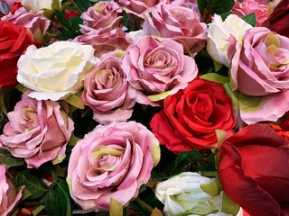 Natural pink roses.