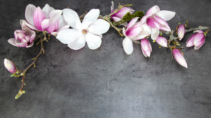 Wunderschöne blühende Magnolien - anthrazit