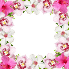 Fototapeta na wymiar Beautiful floral background of hibiscus and orchids. Isolated