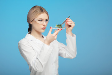 The concept of science, the study of plants and products. GMO test. Scientist biologist and...