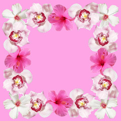 Beautiful floral background of hibiscus and orchids. Isolated