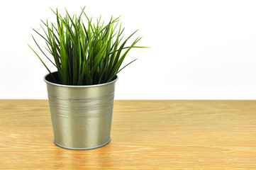 tree pot on the wooden table