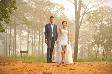 Fototapeta premium pre wedding photo of asian couple